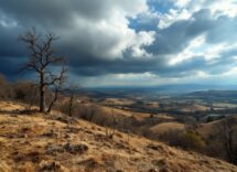 Impatto del cambiamento climatico sull'Europa