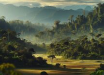 Immagine della conferenza sulla biodiversità con esperti