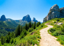 investimenti per la montagna calabrese quasi 11 milioni dal ministero 1745906512