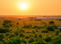 la nuova corsa al carbonio lafrica e gli emirati arabi uniti 1748255040