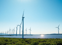 scopri limpatto di contourglobal nel settore energetico globale 1752054169